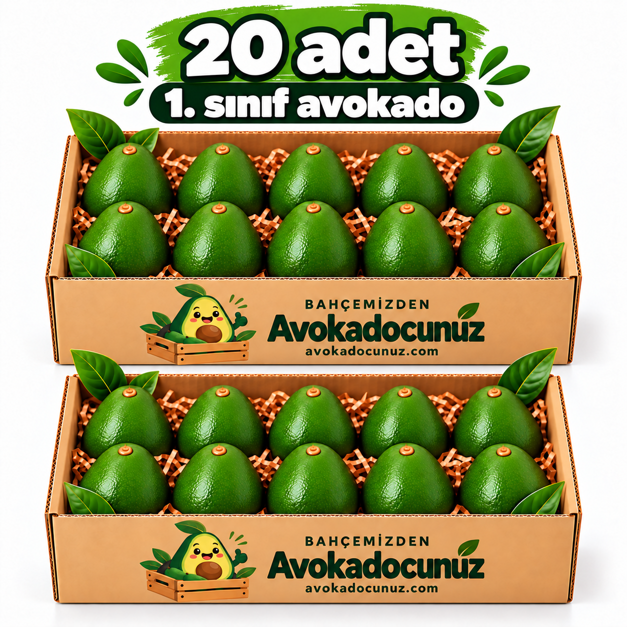 20 Adet Avokado